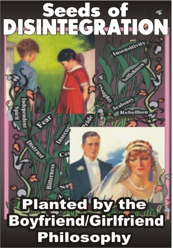 Seeds of Disintegration Planted by the Boyfriend/Girlfriend Philosophy