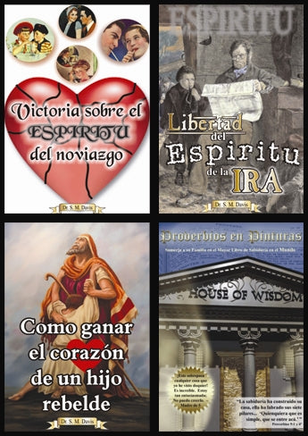 Spanish 4 Video Set